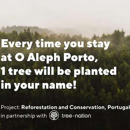 O Aleph, Irresistible Duplex Apt. W/ac And Balcony アパート ポルト